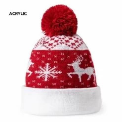 Christmas Beanie